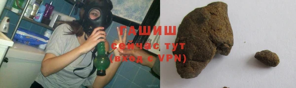 дживик Богородицк