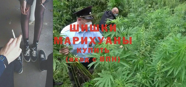 дживик Богородицк