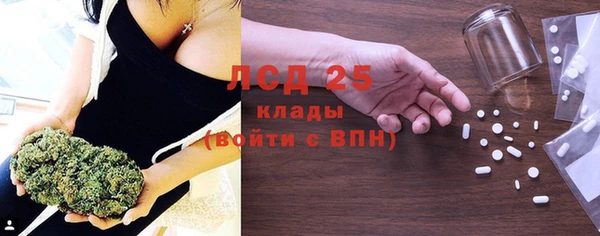 дживик Богородицк