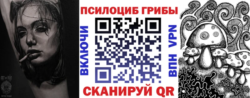 блэк спрут маркетплейс Плёс Псилоцибиновые грибы Psilocybine cubensis
